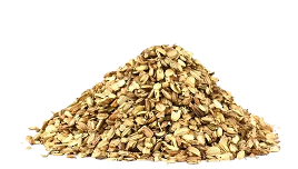 Andělika lékařská